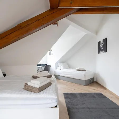 Apartment Spacious 7-person Leoben - Ideal For Workers, Groups & Family