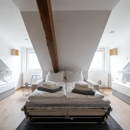 Spacious 7-person Leoben - Ideal For Workers, Groups & Family Leoben (Styria)